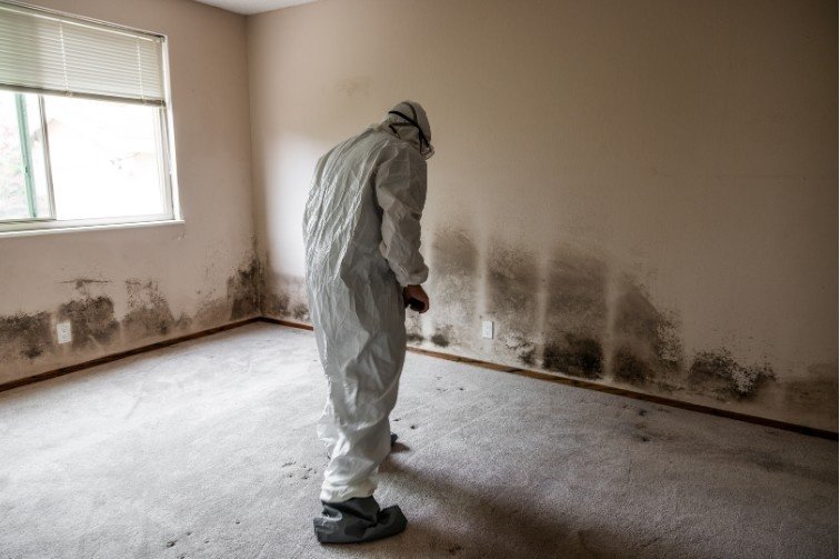 Mould Cleaning Sydney