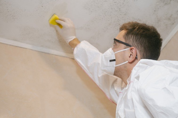 Mould Cleaning Sydney